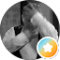 adam kaz Avatar